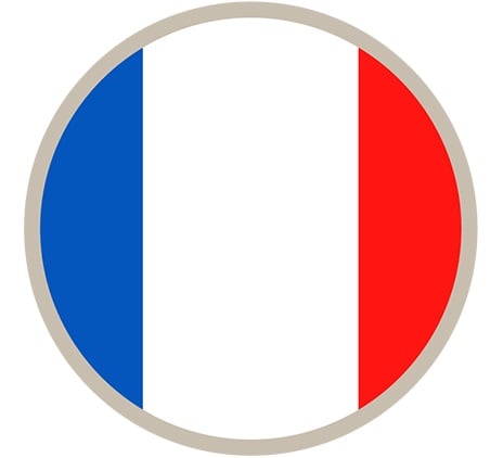 Transfer pricing - France